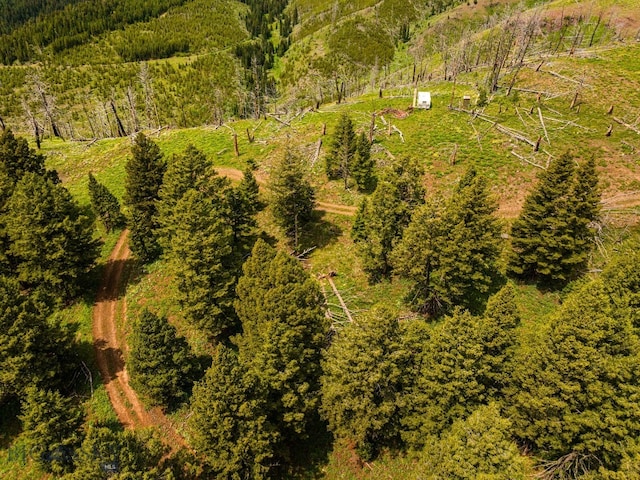 NHN Peak Point Dr Lot 1, Livingston, MT 59047 - photo 43