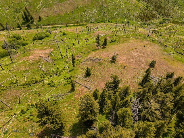 NHN Peak Point Dr Lot 1, Livingston, MT 59047 - photo 44