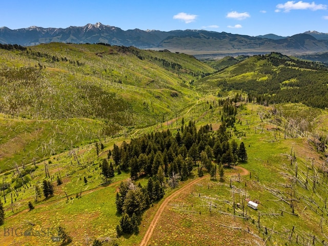 NHN Peak Point Dr Lot 1, Livingston, MT 59047 - photo 45