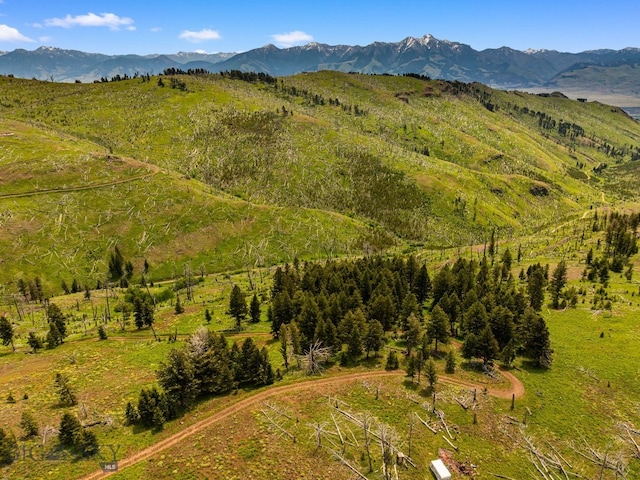 NHN Peak Point Dr Lot 1, Livingston, MT 59047 - photo 46
