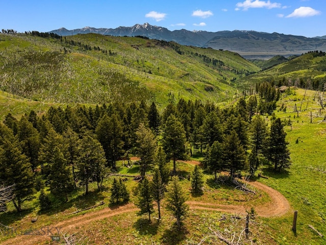 NHN Peak Point Dr Lot 1, Livingston, MT 59047 - photo 47