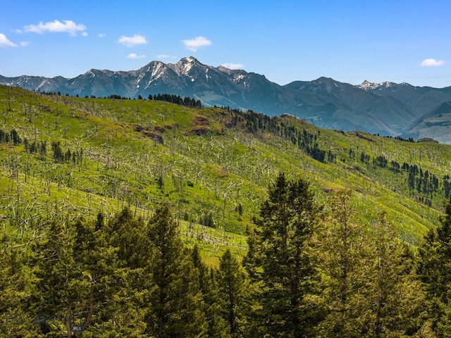 NHN Peak Point Dr Lot 1, Livingston, MT 59047 - photo 48