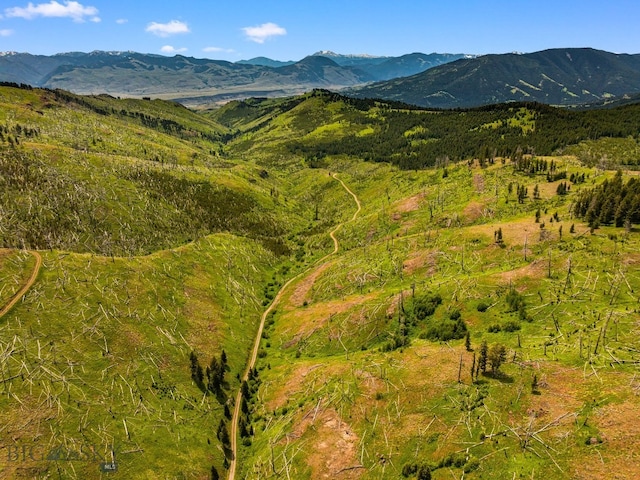 NHN Peak Point Dr Lot 1, Livingston, MT 59047 - photo 49