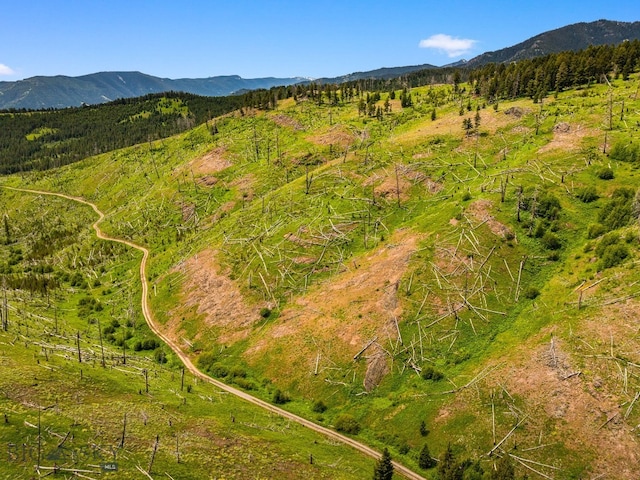 NHN Peak Point Dr Lot 1, Livingston, MT 59047 - photo 50