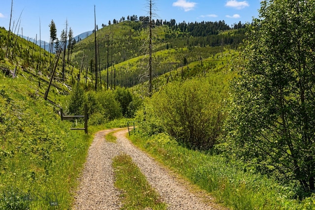 NHN Peak Point Dr Lot 1, Livingston, MT 59047 - photo 7