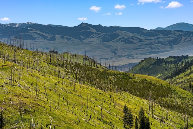 NHN Peak Point Dr Lot 1, Livingston, MT 59047 - photo 8