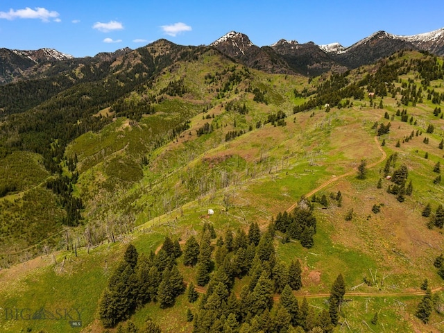 NHN Peak Point Dr Lot 1, Livingston, MT 59047 - photo 60