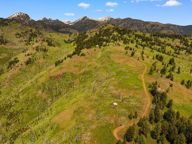 NHN Peak Point Dr Lot 1, Livingston, MT 59047 - photo 2