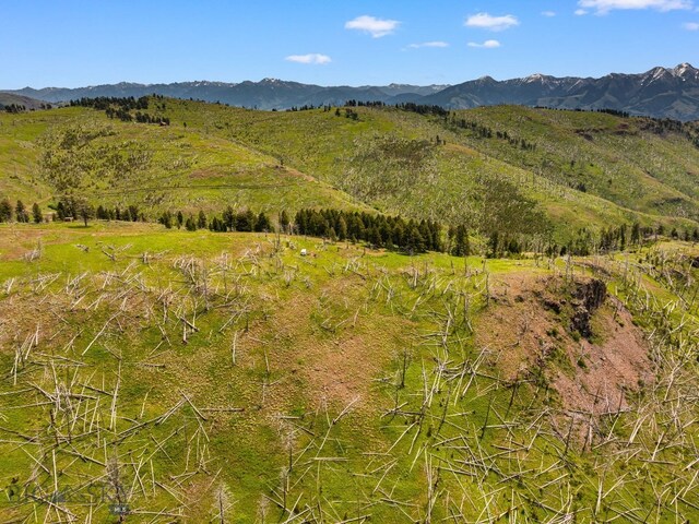 NHN Peak Point Dr Lot 1, Livingston, MT 59047 - photo 61