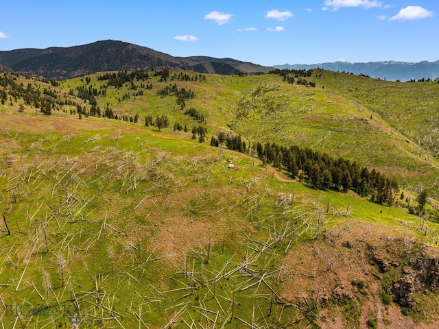 NHN Peak Point Dr Lot 1, Livingston, MT 59047 - photo 62