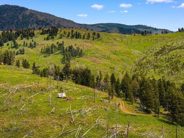 NHN Peak Point Dr Lot 1, Livingston, MT 59047 - photo 4