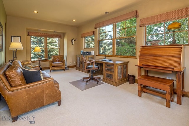 390 Hayrake Ln, Bozeman, MT 59715 - photo 65