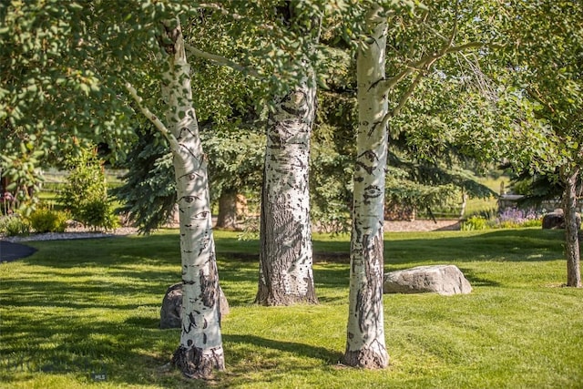 390 Hayrake Ln, Bozeman, MT 59715 - view of green lawn