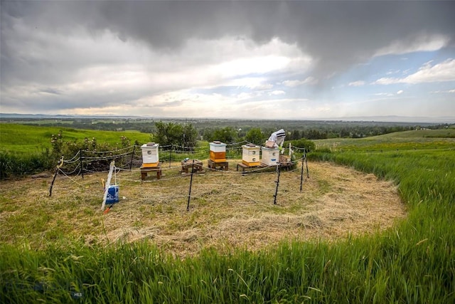 390 Hayrake Ln, Bozeman, MT 59715 - view of yard with a view of rural / pastoral area