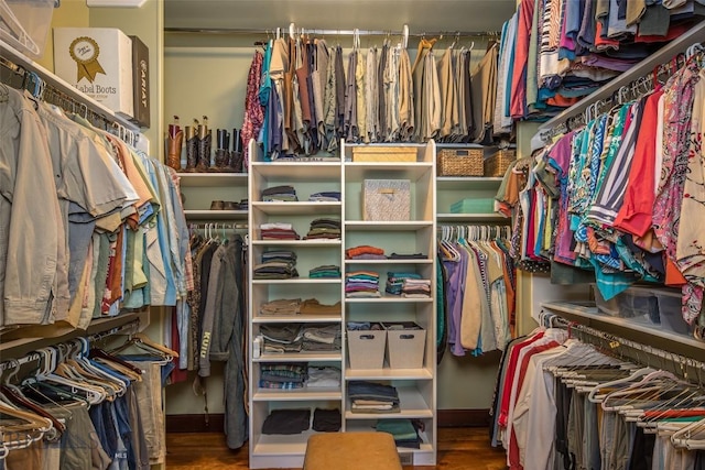 390 Hayrake Ln, Bozeman, MT 59715 - spacious closet with wood finished floors