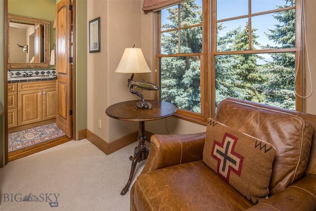 390 Hayrake Ln, Bozeman, MT 59715 - sitting room with carpet and baseboards