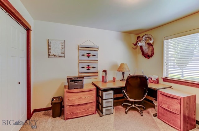 9848 Durston Rd Unit A, Bozeman, MT 59718 - carpeted office featuring baseboards