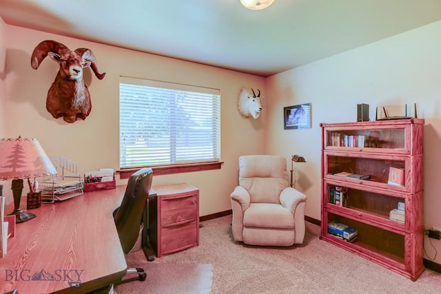 9848 Durston Rd Unit A, Bozeman, MT 59718 - office with carpet