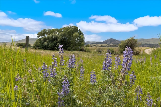 292 Two Bumps Rd, Lot, Ennis, MT 59729 - photo 4