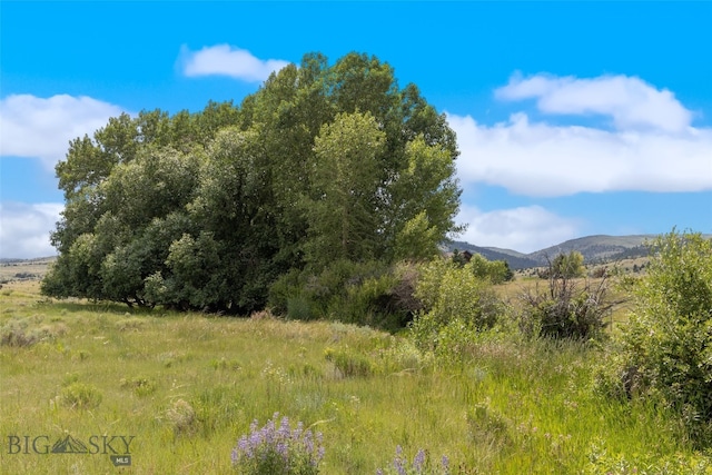 292 Two Bumps Rd, Lot, Ennis, MT 59729 - photo 5