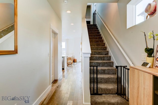 2002 Chipset St Unit A, Bozeman, MT 59718 - staircase with plenty of natural light, hardwood / wood-style floors, and recessed lighting