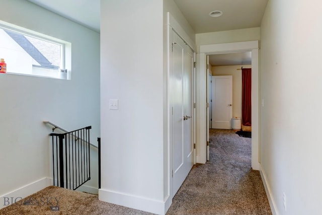 2002 Chipset St Unit A, Bozeman, MT 59718 - hall with carpet floors