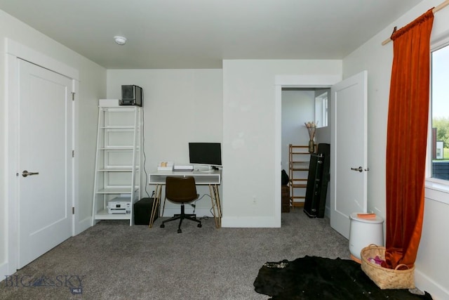 2002 Chipset St Unit A, Bozeman, MT 59718 - carpeted home office with baseboards