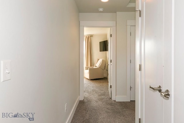 2002 Chipset St Unit A, Bozeman, MT 59718 - hall featuring carpet floors and baseboards
