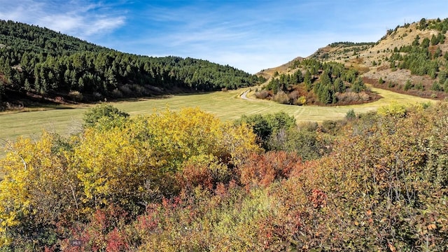94 Sky Band Trl, Livingston, MT 59047 - view of mountain backdrop featuring a forest