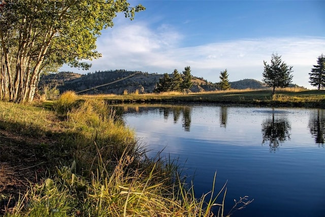 94 Sky Band Trl, Livingston, MT 59047 - water view