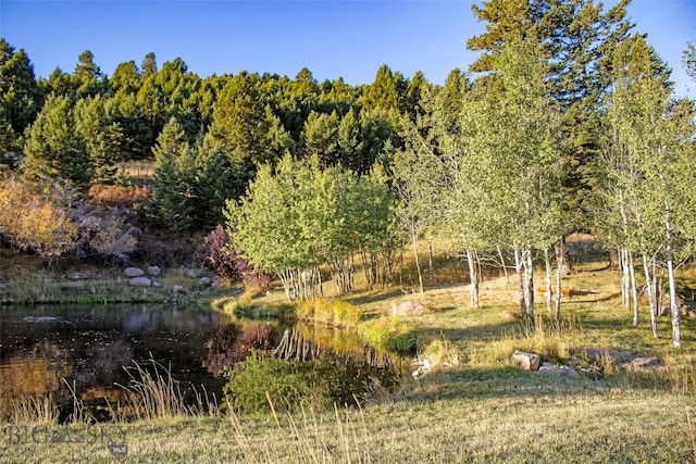94 Sky Band Trl, Livingston, MT 59047 - view of woods featuring a water view