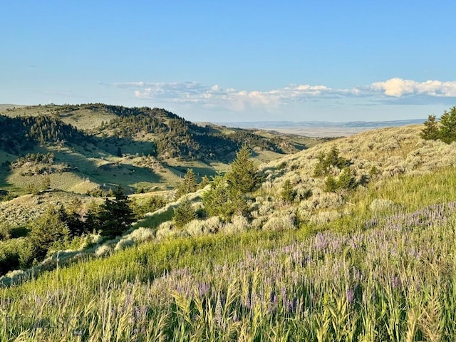 94 Sky Band Trl, Livingston, MT 59047 - view of mountain backdrop