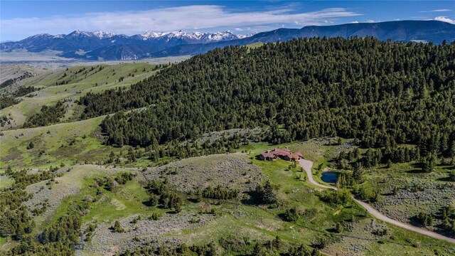 94 Sky Band Trl, Livingston, MT 59047 - view of property location with a heavily wooded area and a mountainous background