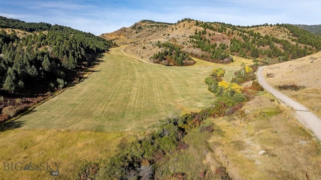 94 Sky Band Trl, Livingston, MT 59047 - mountain view