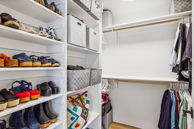 1492 Windrow Dr, Bozeman, MT 59718 - spacious closet featuring wood finished floors
