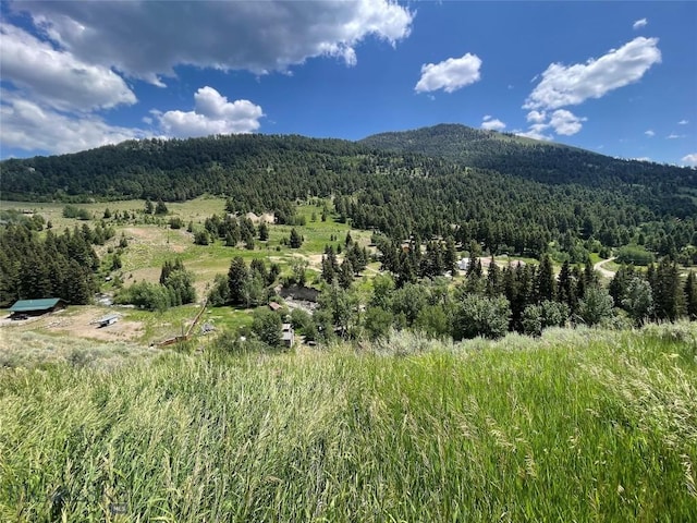 23 Hanlon Hill Dr, Jardine, MT 59030 - photo 45