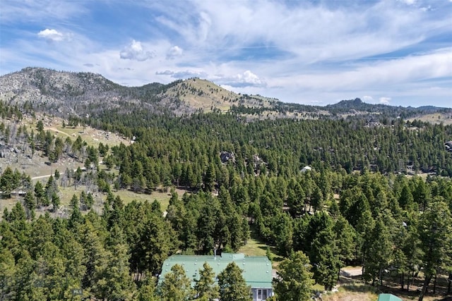 16 Friendspring Mt, Whitehall, MT 59759 - mountain view with a heavily wooded area