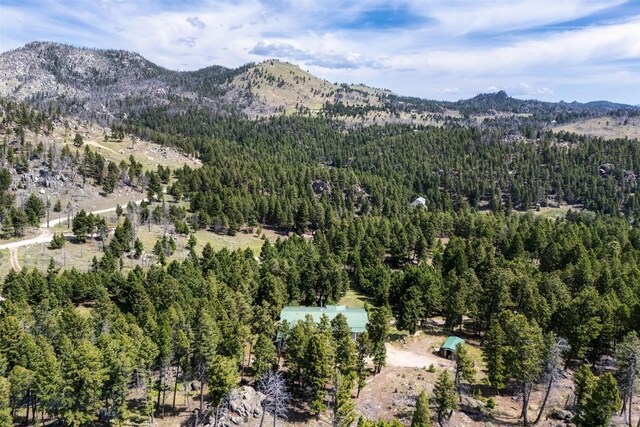 16 Friendspring Mt, Whitehall, MT 59759 - view of mountain backdrop with a forest