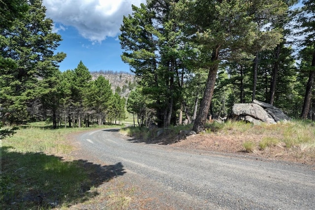 16 Friendspring Mt, Whitehall, MT 59759 - view of dirt / gravel road featuring a wooded view