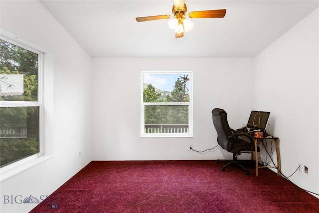 16 Friendspring, Whitehall, MT 59759 - photo 36