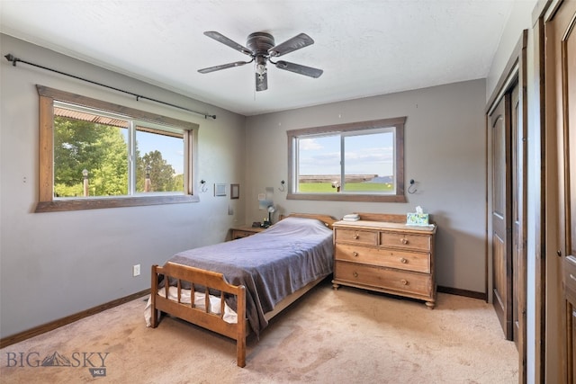 120 N Pine Butte, Bozeman, MT 59718 - bedroom with multiple windows, light carpet, a closet, and a ceiling fan