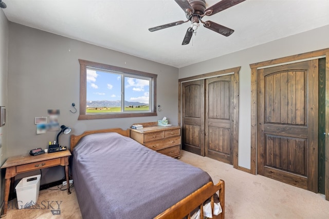 120 N Pine Butte, Bozeman, MT 59718 - bedroom with a closet, light colored carpet, and ceiling fan