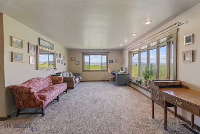 120 N Pine Butte, Bozeman, MT 59718 - living room with carpet flooring and a textured ceiling