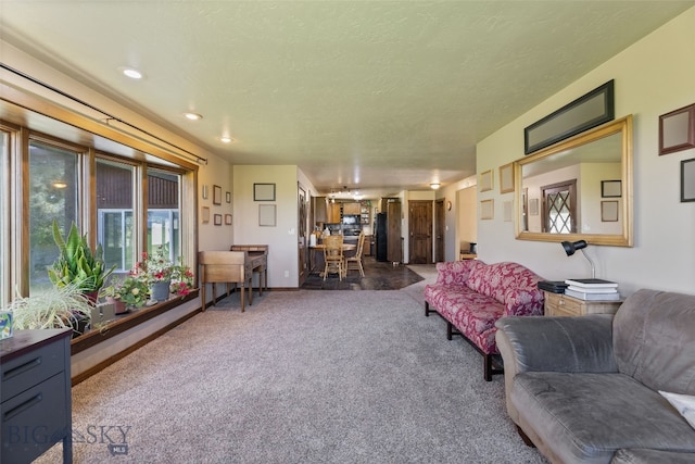 120 N Pine Butte, Bozeman, MT 59718 - view of carpeted living room