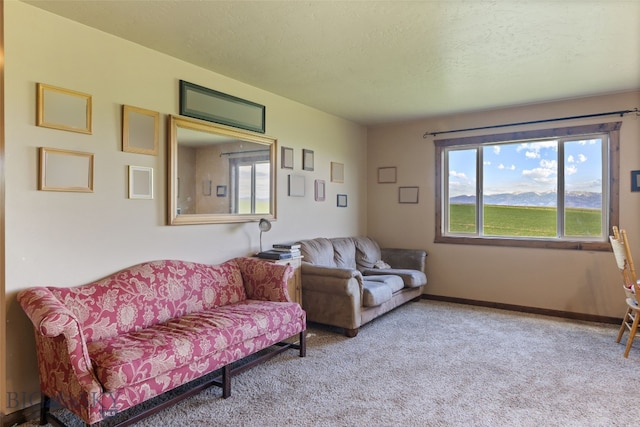120 N Pine Butte, Bozeman, MT 59718 - living area featuring carpet floors and a textured ceiling