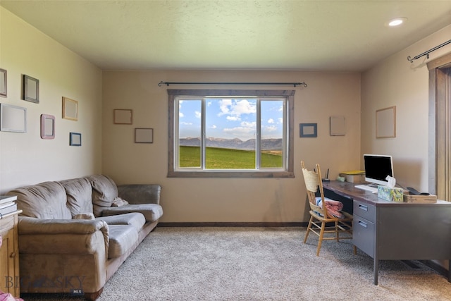120 N Pine Butte, Bozeman, MT 59718 - home office with carpet and baseboards