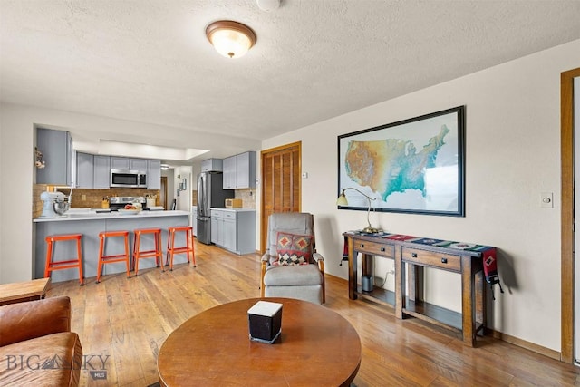 109 Cottonwood St, Manhattan, MT 59741 - living room featuring light wood finished floors and a textured ceiling
