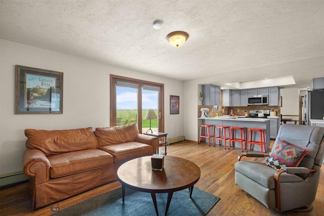 109 Cottonwood St, Manhattan, MT 59741 - living area featuring light wood-style floors and a textured ceiling