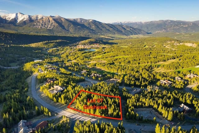67 Goshawk Trl, Big Sky, MT 59716