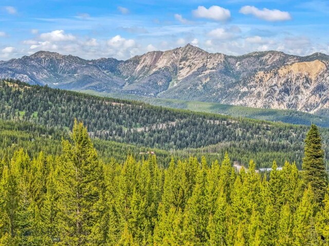 67 Goshawk Trl, Big Sky, MT 59716 - photo 30
